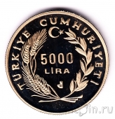  5000  1991   -  