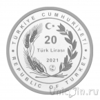 Турция 20 лир 2021 Средневековый персидский врач и учёный Ибн Сина