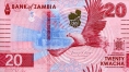 Замбия 20 квача 2024