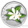 Кюрасао 50 центов 2025 Принятие карибского гульдена
