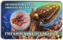 Жетон СПМД 10 лье 2026 Необыкновенные обитатели глубин - Гигантский осьминог